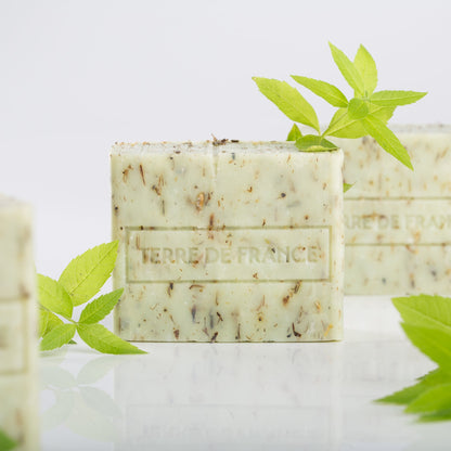 Echantillon Exfoliant à la verveine